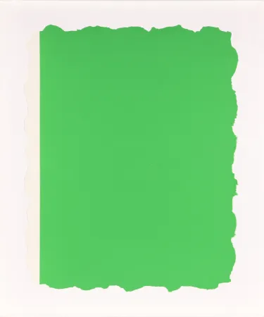 Aguatinta Flavin - Untitled, from Sequences - Green