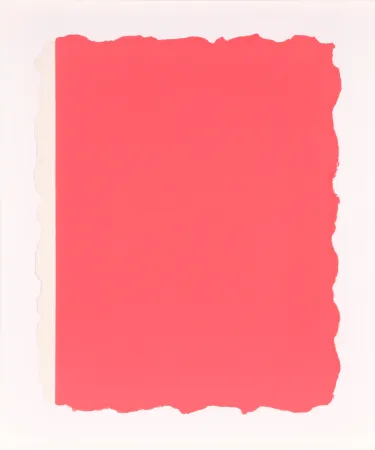 Aguatinta Flavin - Untitled, from Sequences - Pink