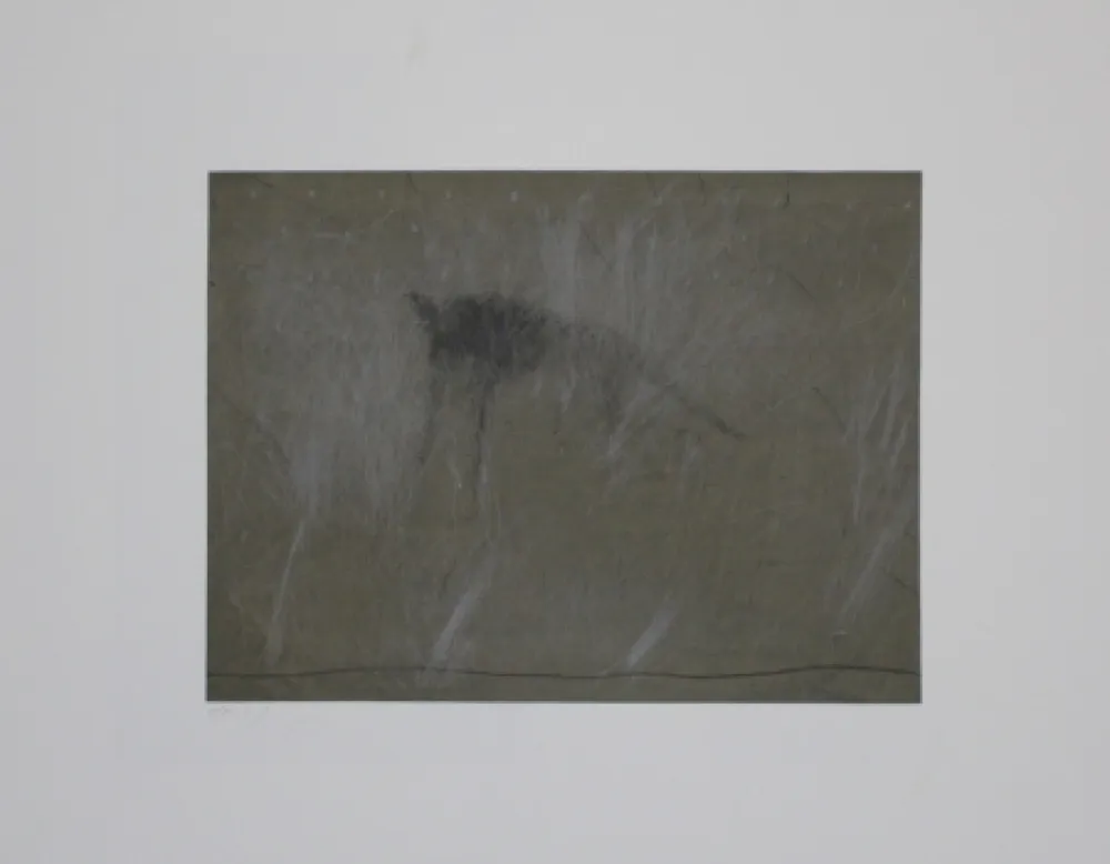 Grabado Fleischmann - Beast