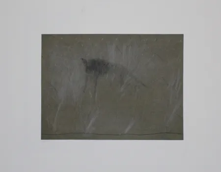 Grabado Fleischmann - Beast