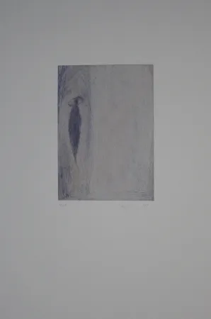 Grabado Fleischmann - Brunnenhell