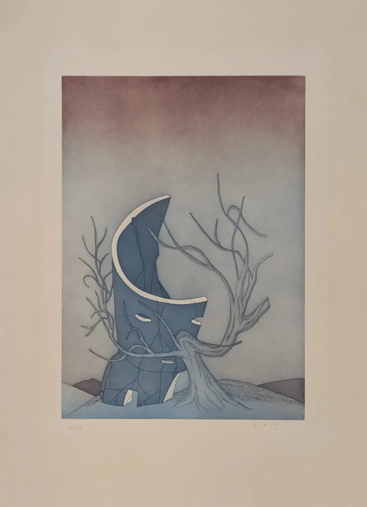 Aguafuerte Y Aguatinta Folon - Les Ruines circulaires V 