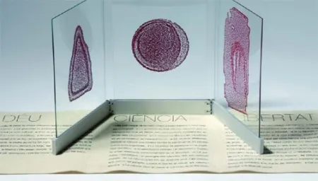 Libro Ilustrado Fontcuberta - Deu, ciència i llibertat