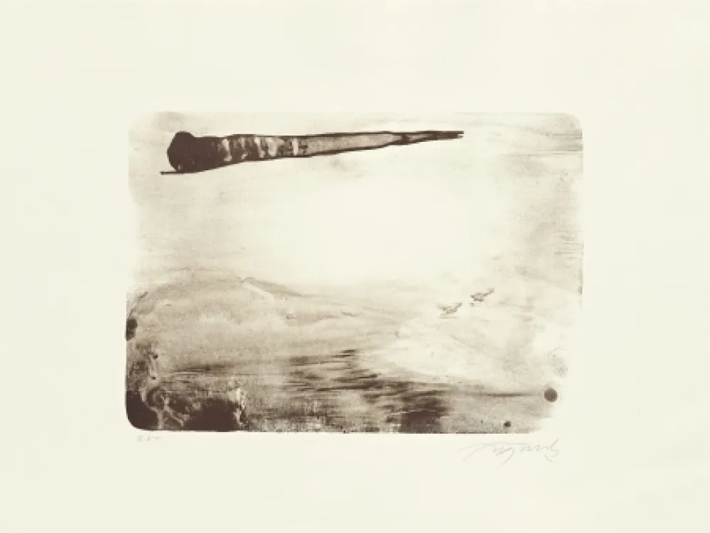 Litografía Fontela - Palm