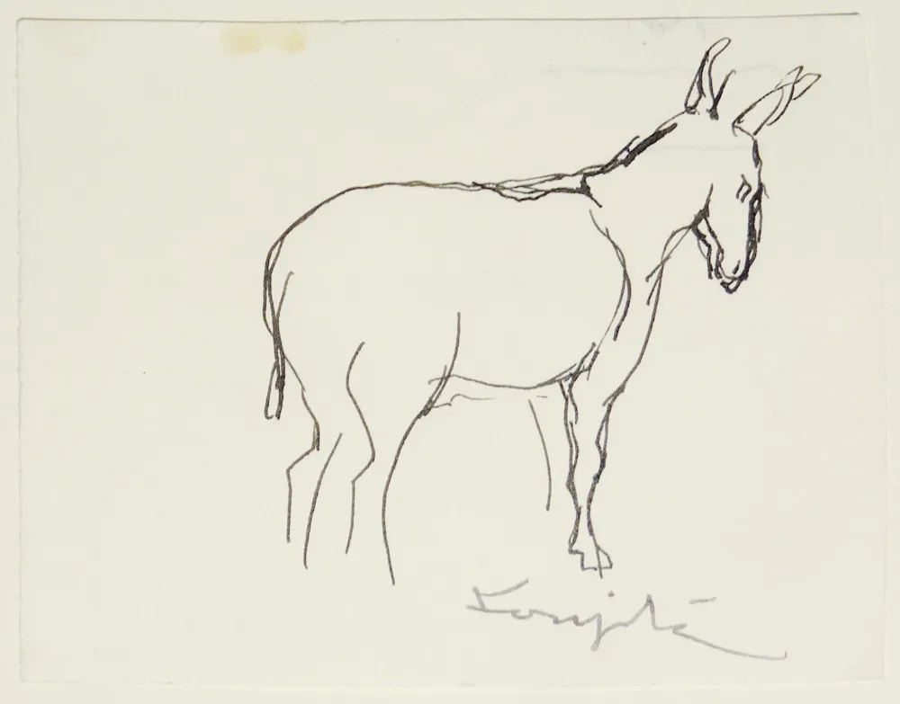 Sin Técnico Foujita - L'âne