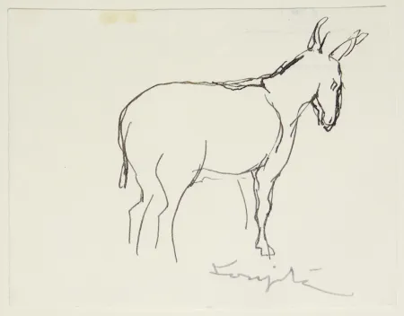 Sin Técnico Foujita - L'âne