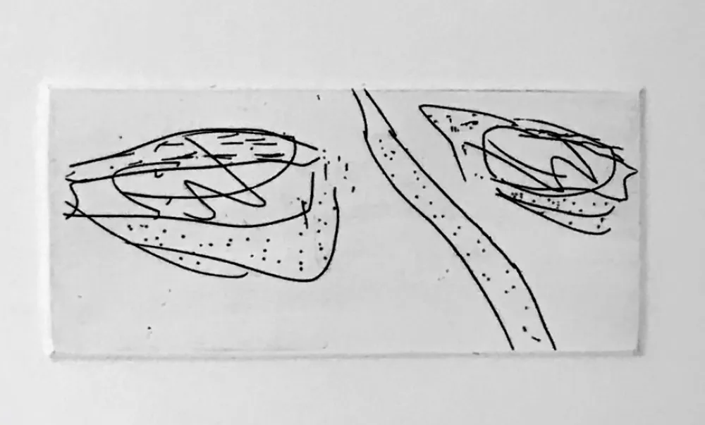 Aguatinta Francis - Self Portrait