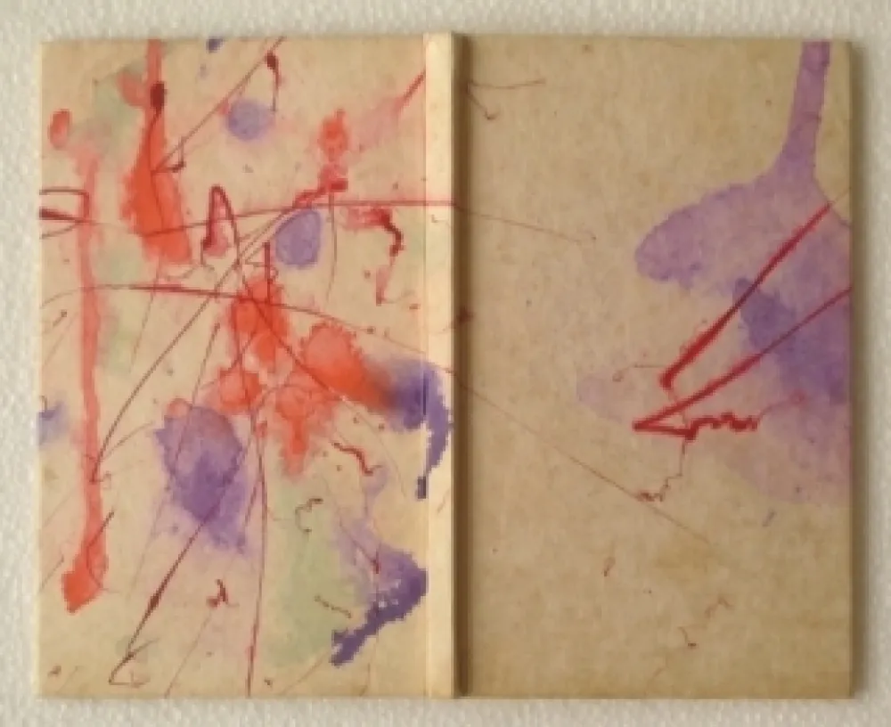 Libro Ilustrado Francis - YEA