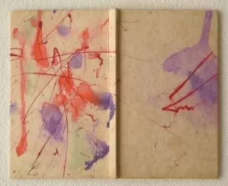 Libro Ilustrado Francis - YEA