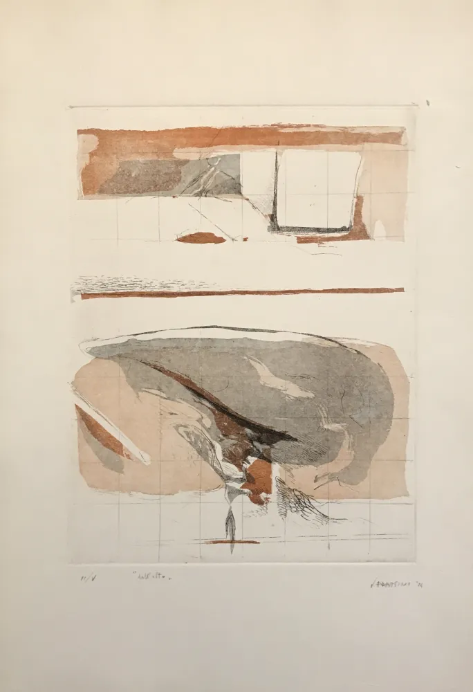 Aguafuerte Y Aguatinta Frattini - Dall'alto