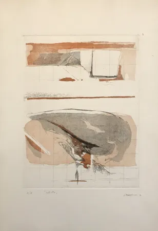 Aguafuerte Y Aguatinta Frattini - Dall'alto