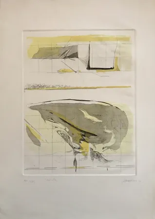 Aguafuerte Y Aguatinta Frattini - Dall'alto