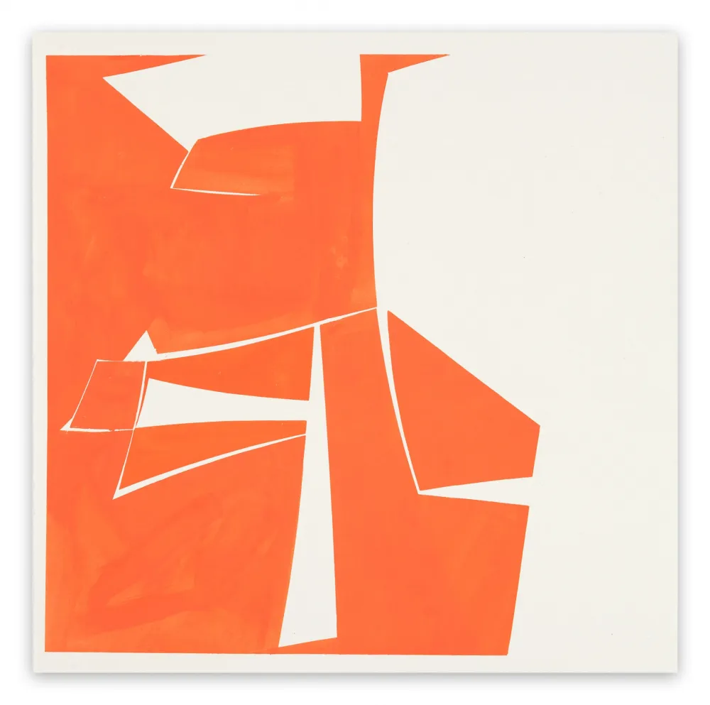 Sin Técnico Freeman - Covers 20 Red