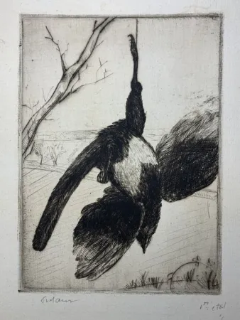 Aguafuerte Frélaut - La pie morte