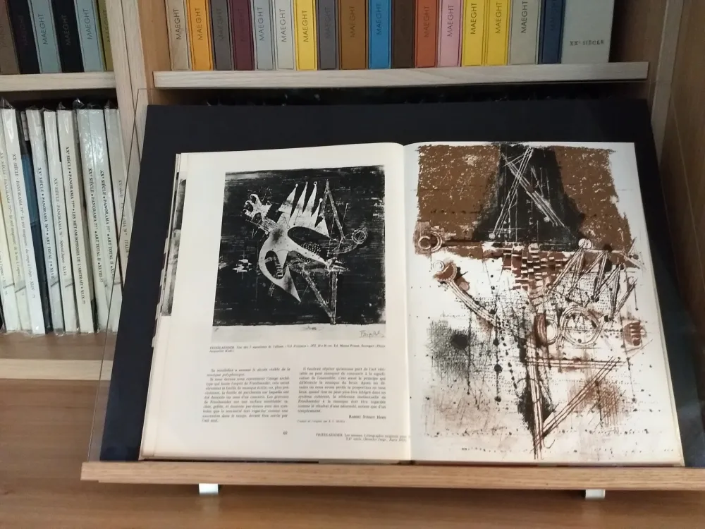 Libro Ilustrado Friedlaender - No 40