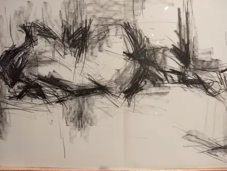 Libro Ilustrado Fromanger - DLM 150