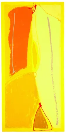 Serigrafía Frost - Yellow Buzz - Ohio