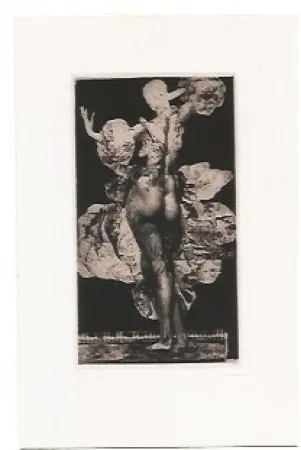 Grabado Fuchs - Giulietta II