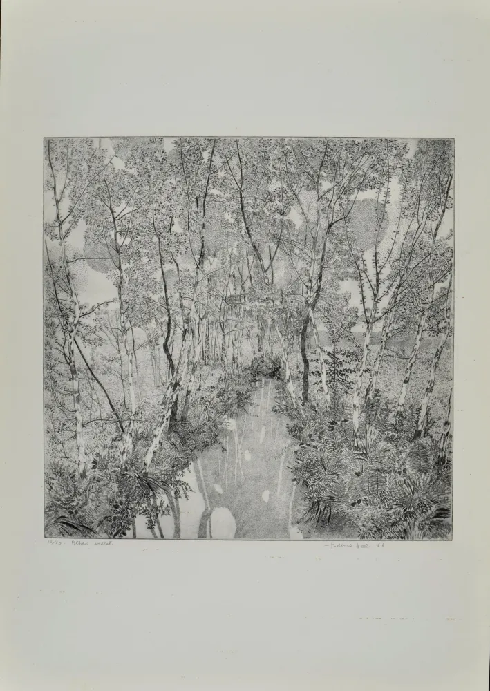 Aguafuerte Galli - Alberi malati