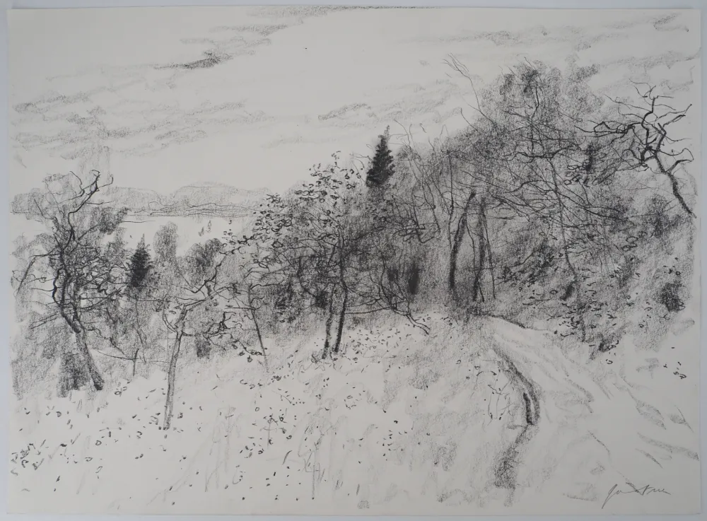 Sin Técnico Gantner - Le chemin du verger