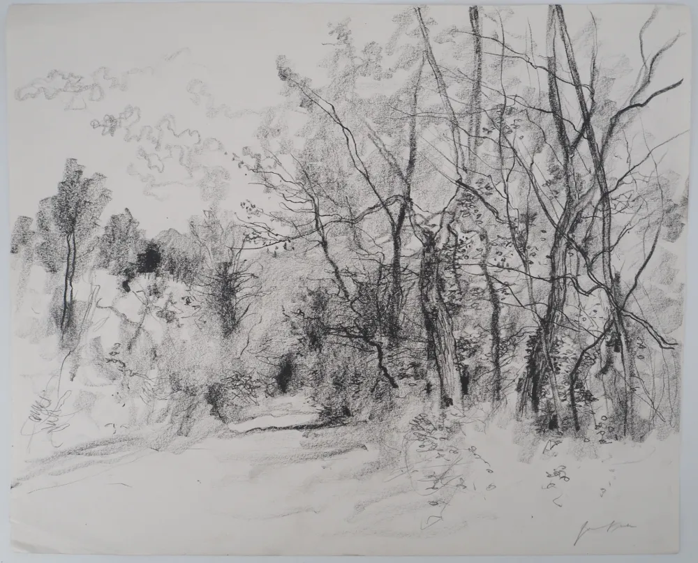 Sin Técnico Gantner - Route de campagne