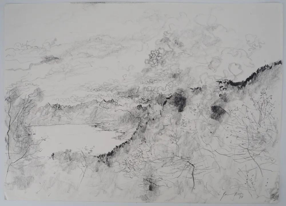 Sin Técnico Gantner - Suisse, Nuages sur le Lac Leman