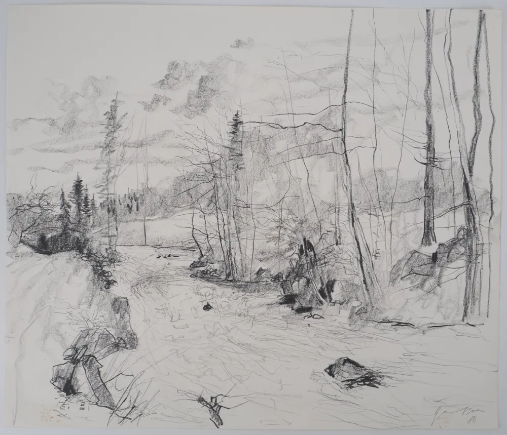 Sin Técnico Gantner - Torrent dans les Vosges