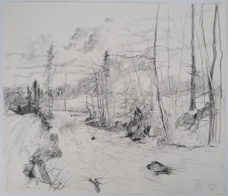 Sin Técnico Gantner - Torrent dans les Vosges