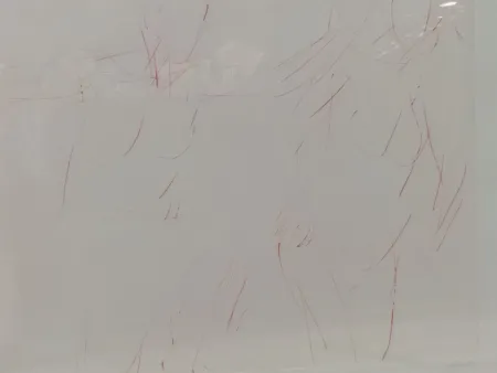 Litografía Garache - 2 personates v