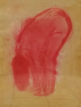 Litografía Garache - Nude figure