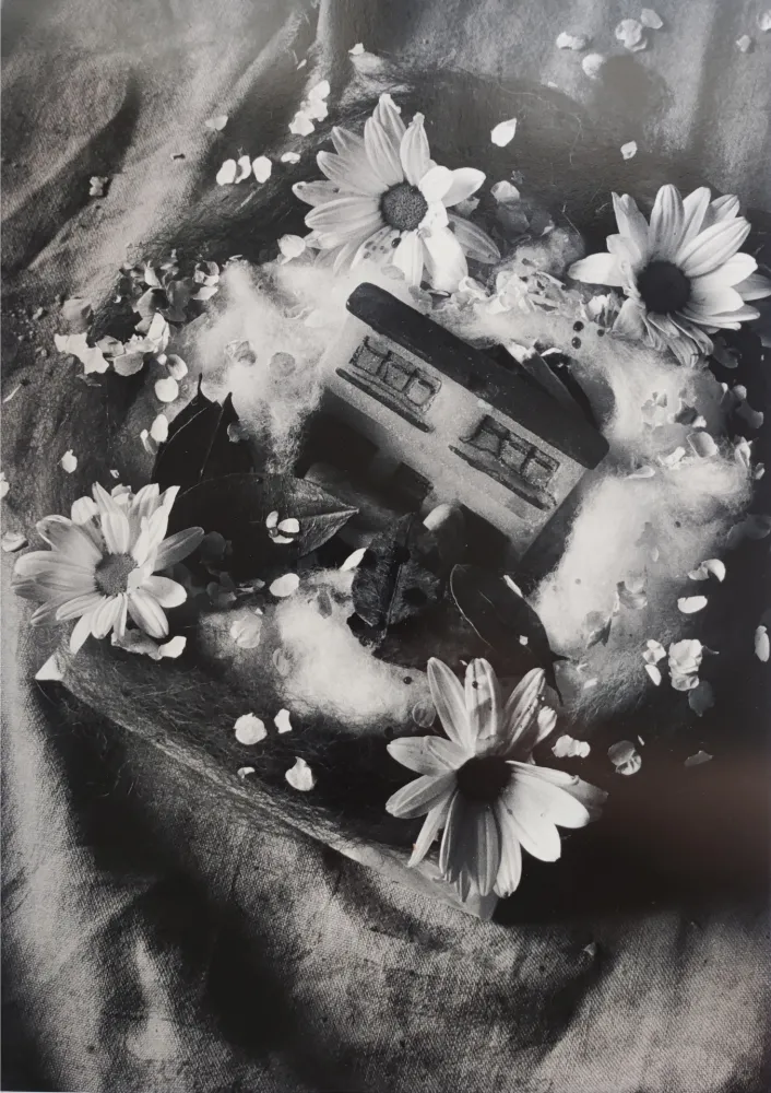 Fotografía Garduño - 