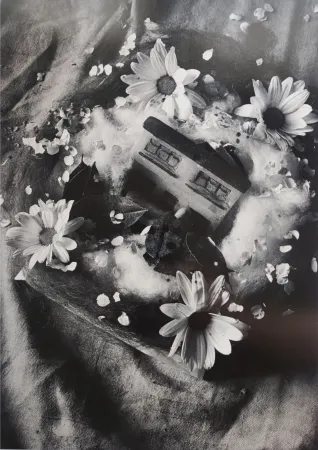 Fotografía Garduño - 