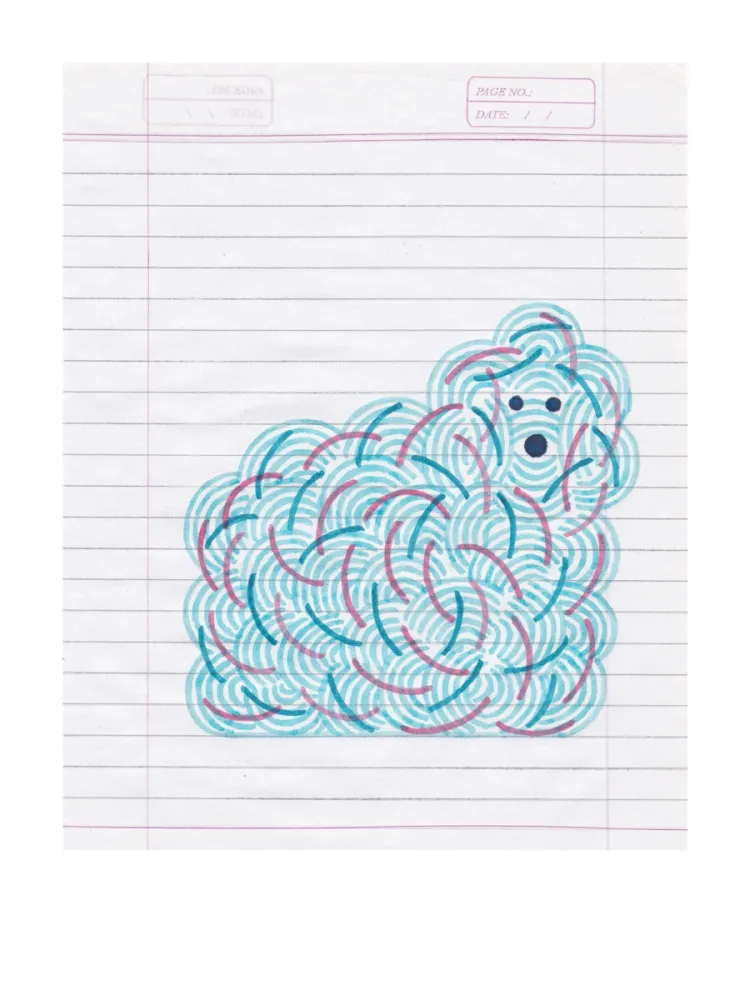 Estampa Numérica Gerner - Bichon cumulus