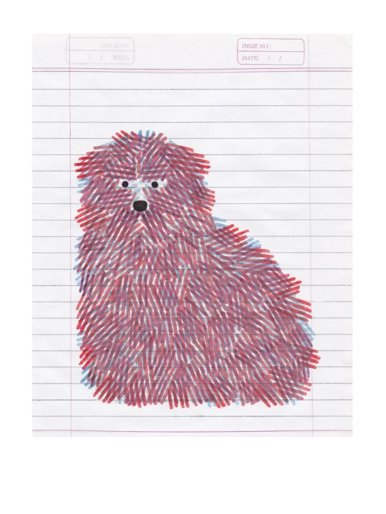 Estampa Numérica Gerner - Bouvier bichrome