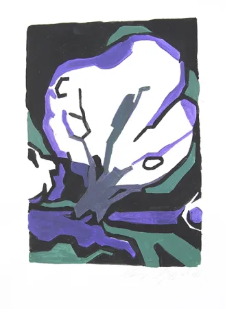 Sin Técnico Geyer - Baum