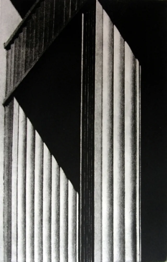 Libro Ilustrado Gibson - Metafora