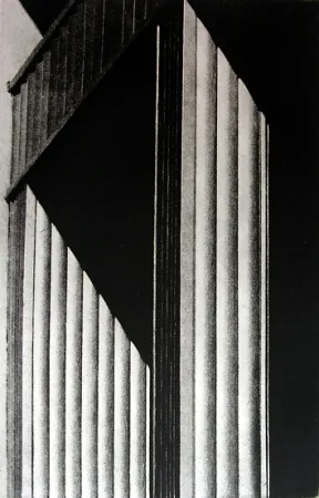 Libro Ilustrado Gibson - Metafora