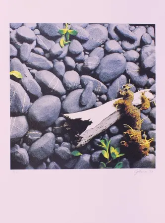 Litografía Gilardi - CARTELLA 11, EDIZIONE FUMAGALLI