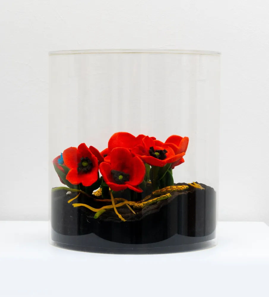 Múltiple Gilardi - Papaveri