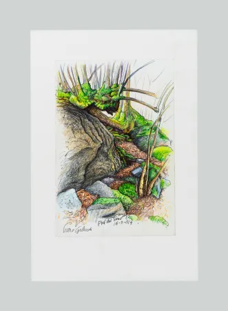 Sin Técnico Gilardi - Prà del torno