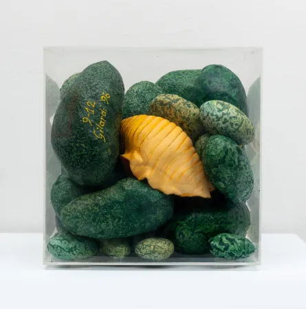 Múltiple Gilardi - Sassi e conchiglia