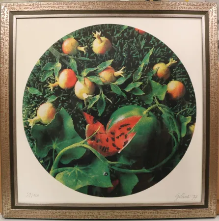 Serigrafía Gilardi - Senza titolo