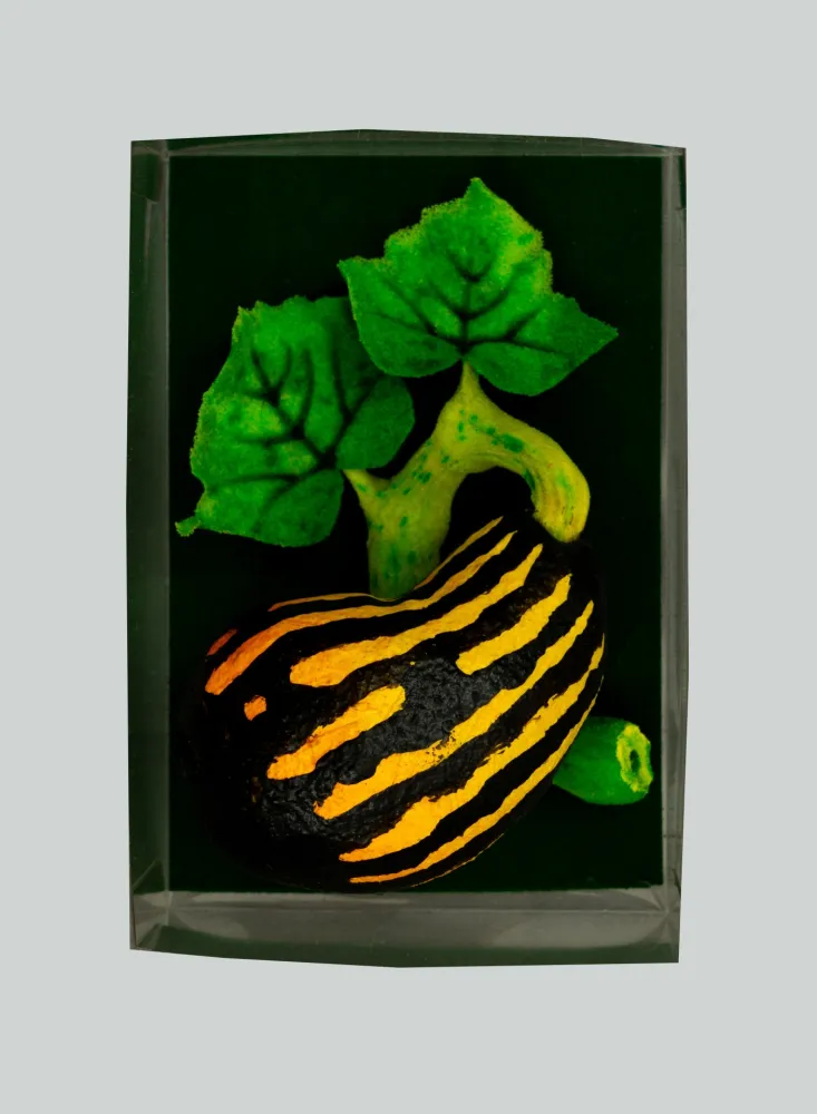 Múltiple Gilardi - Zucchetta