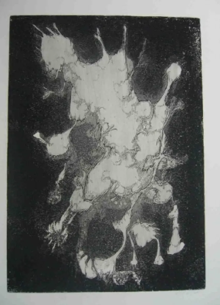 Aguafuerte Gillet - Nymphe des rats