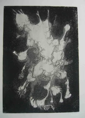 Aguafuerte Gillet - Nymphe des rats