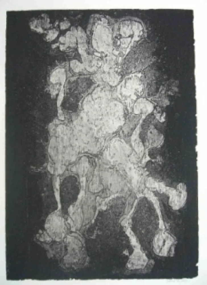 Aguafuerte Gillet - Nymphe des rats