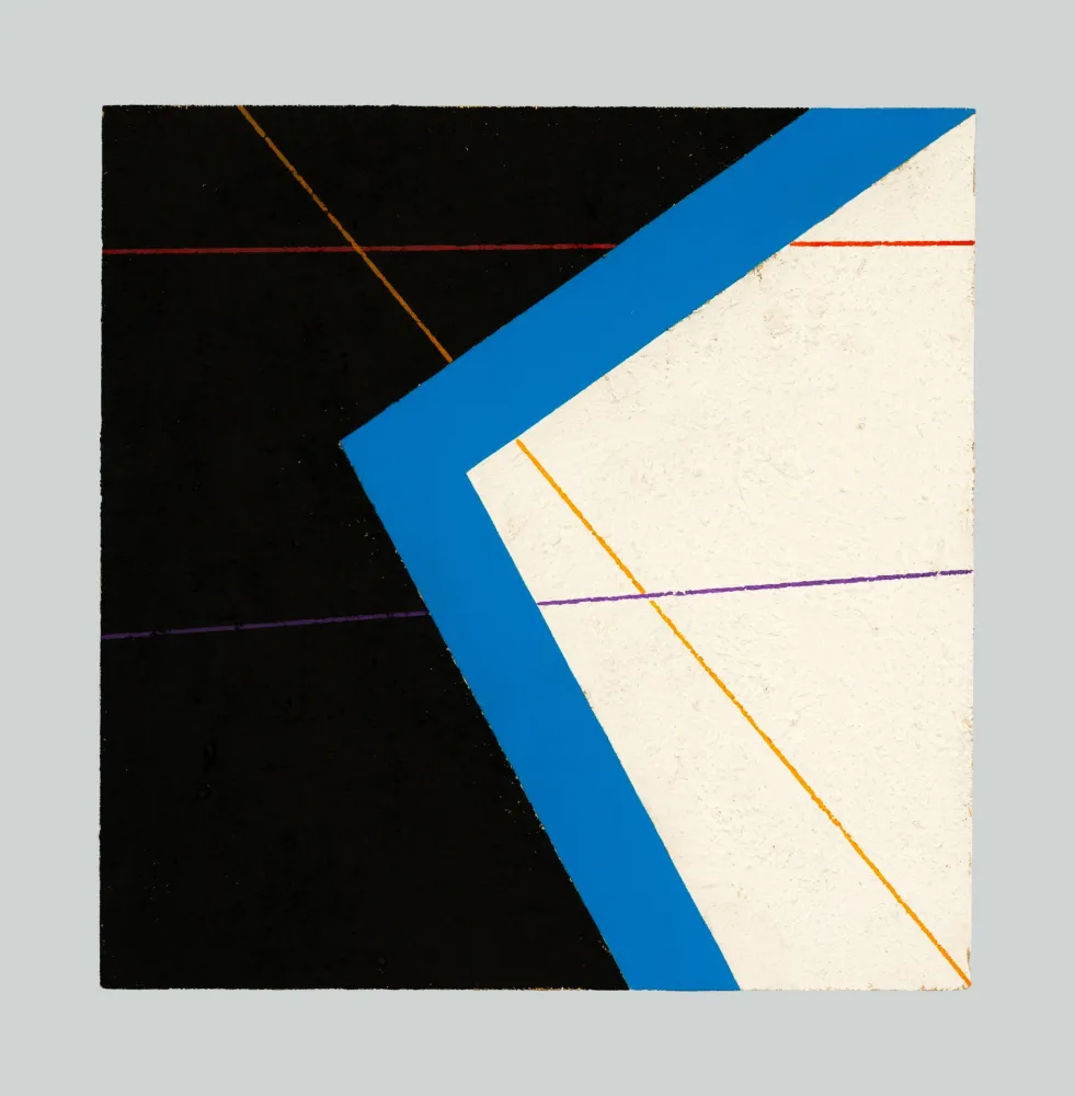 Sin Técnico Giorgi - Composizione