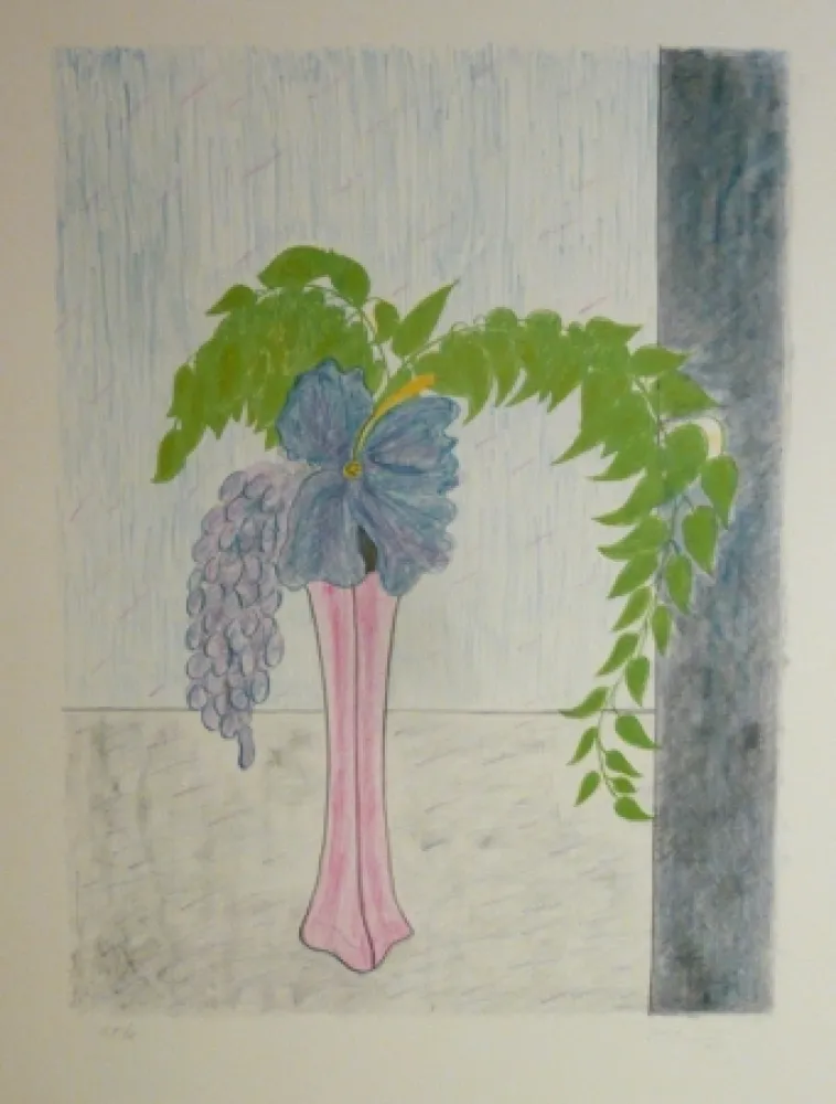 Litografía Girona - GERRO ROSAT GLICINA