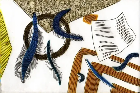 Libro Ilustrado Goetz - Litter/art/ure