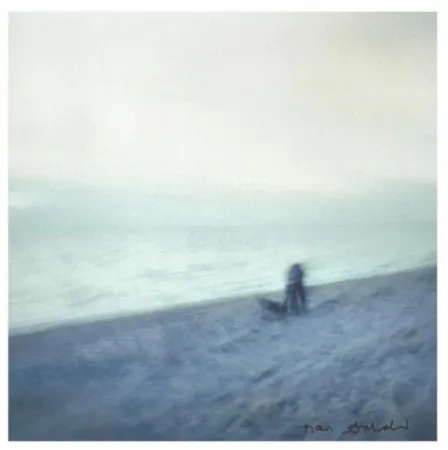 Múltiple Goldin - Memory Lost Sirens